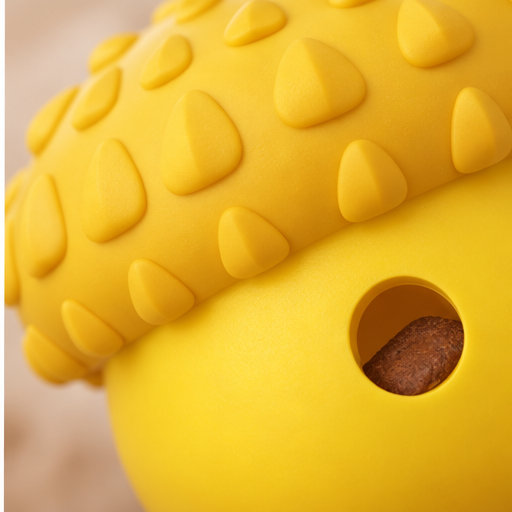 Acorn Treat Toy
