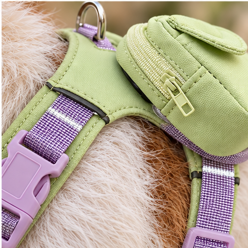 Backpack Harness