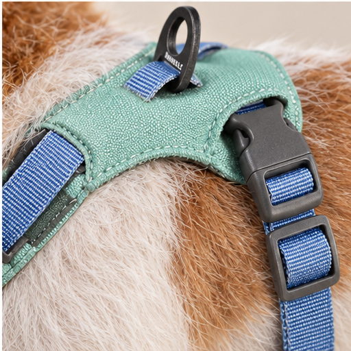 avec Lightweight Summer Harness